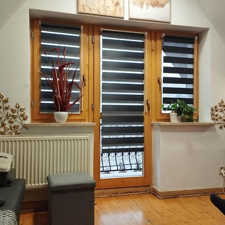 Willa Czajka - Widokowe Apartamenty Закопане Екстериор снимка