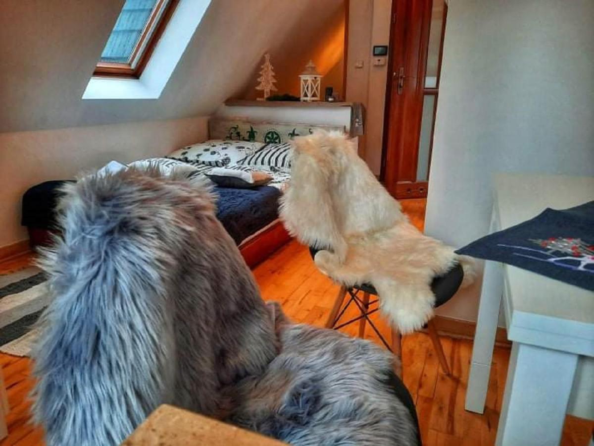 Willa Czajka - Widokowe Apartamenty Закопане Екстериор снимка