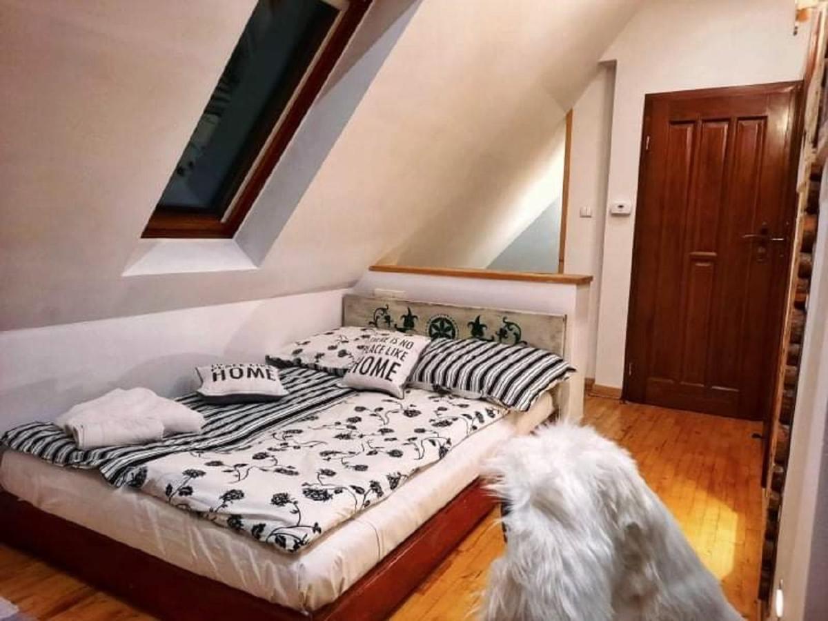 Willa Czajka - Widokowe Apartamenty Закопане Екстериор снимка