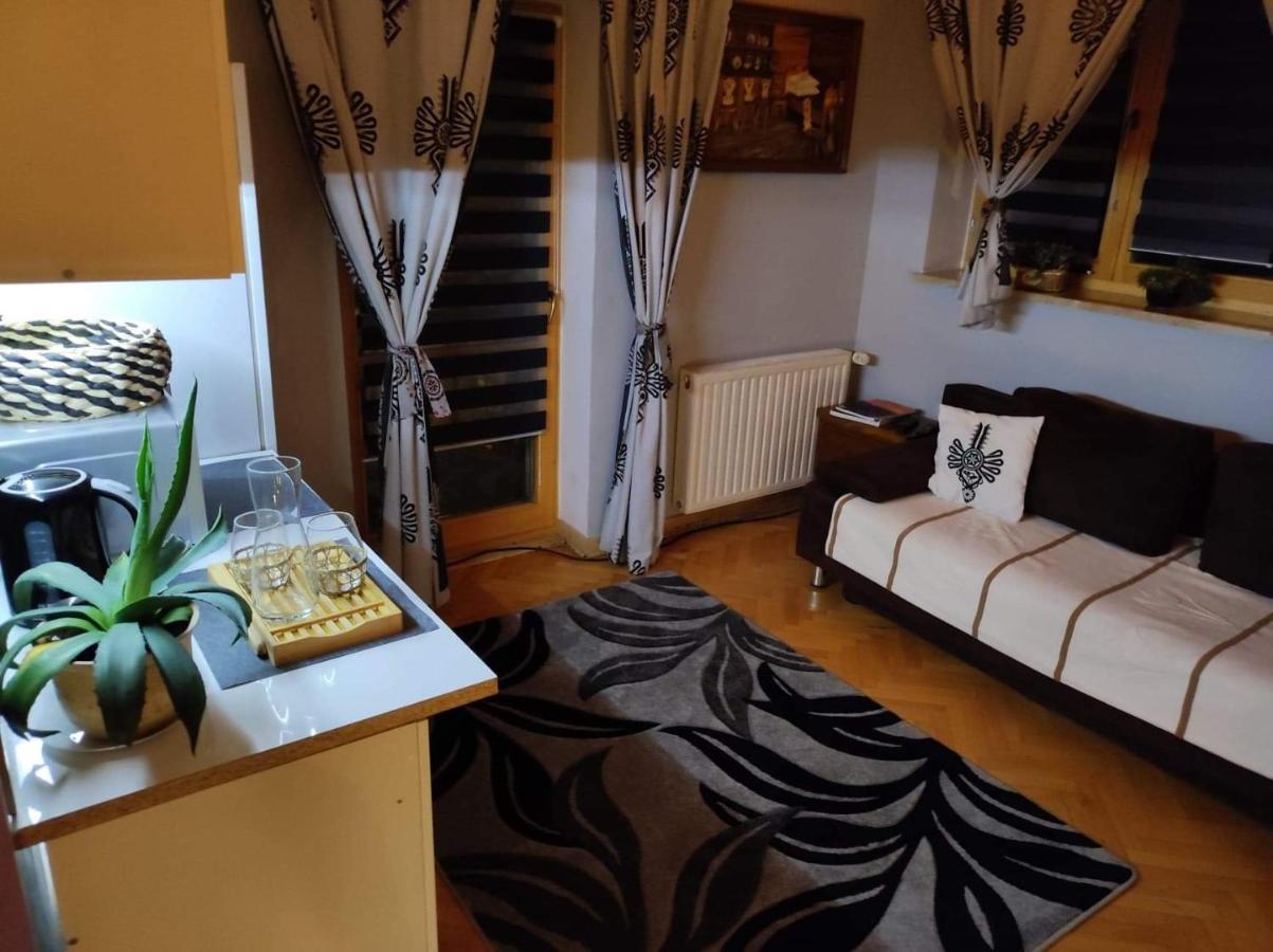 Willa Czajka - Widokowe Apartamenty Закопане Екстериор снимка