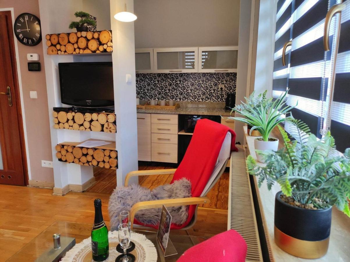 Willa Czajka - Widokowe Apartamenty Закопане Екстериор снимка