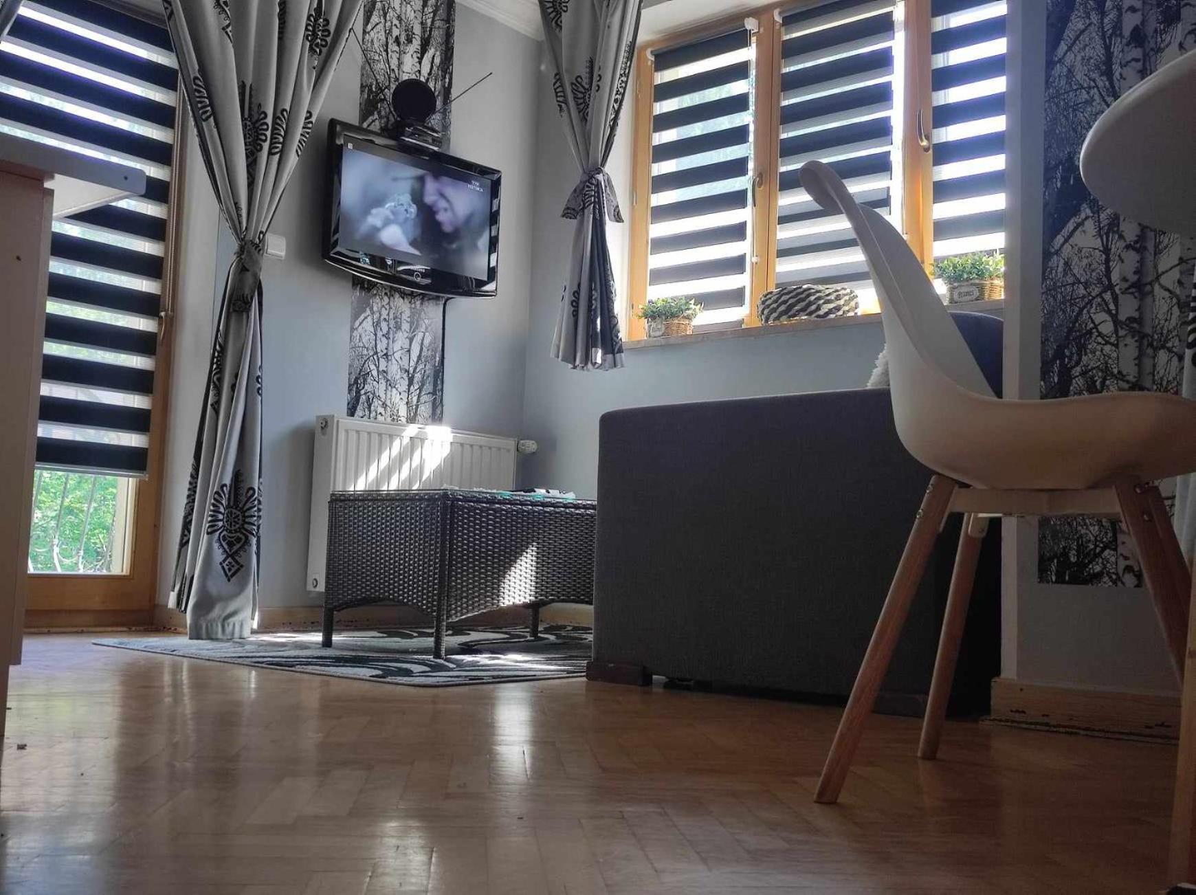Willa Czajka - Widokowe Apartamenty Закопане Екстериор снимка