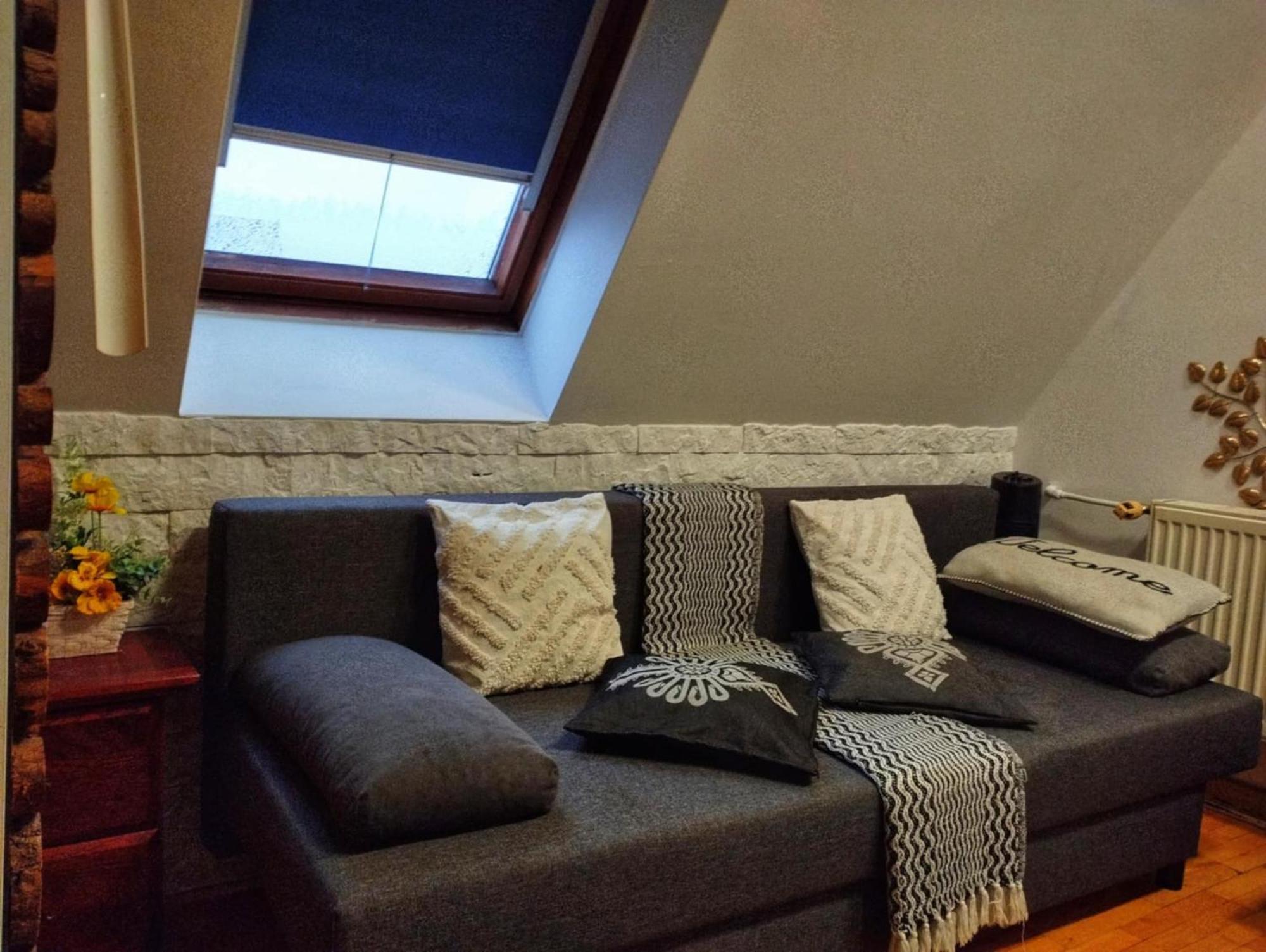 Willa Czajka - Widokowe Apartamenty Закопане Екстериор снимка
