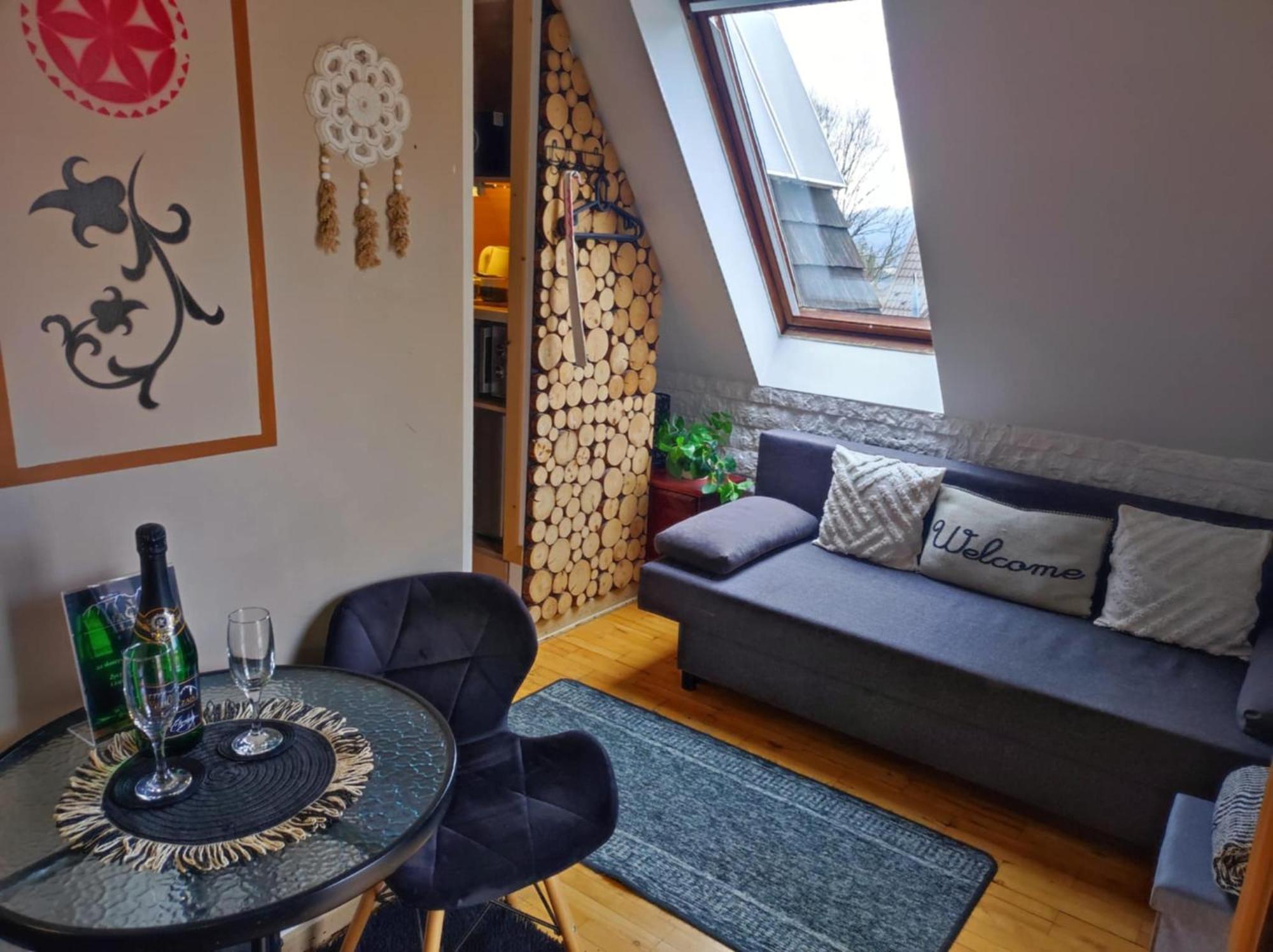 Willa Czajka - Widokowe Apartamenty Закопане Екстериор снимка